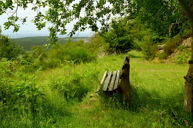背景