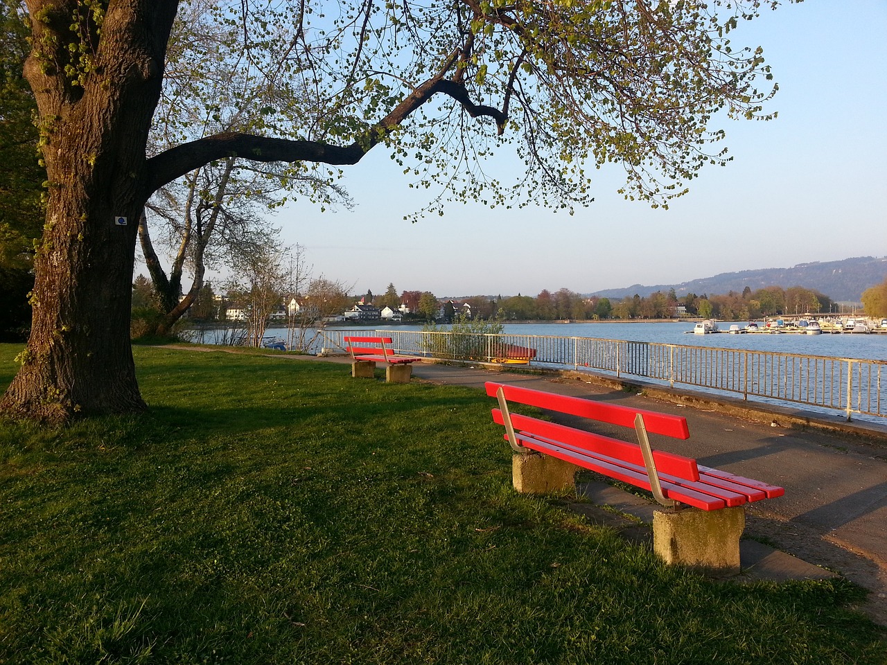 泰的防线 泰的防线