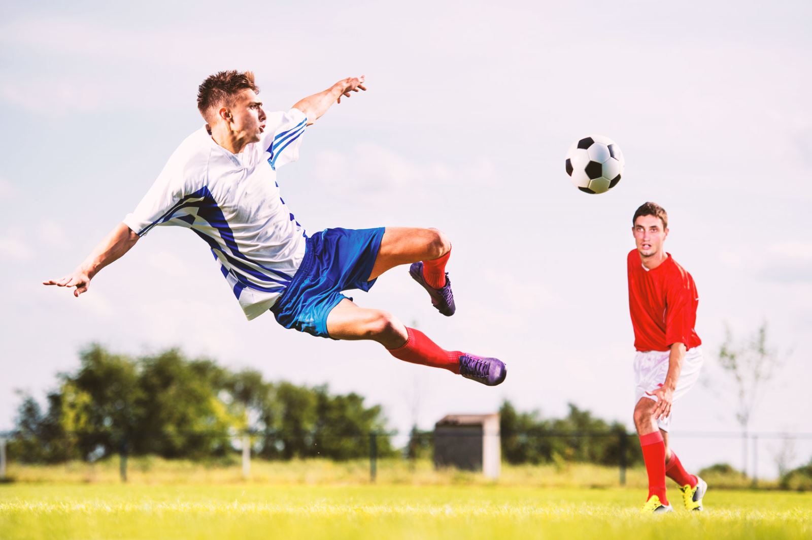 无论是罗德 无论是罗德